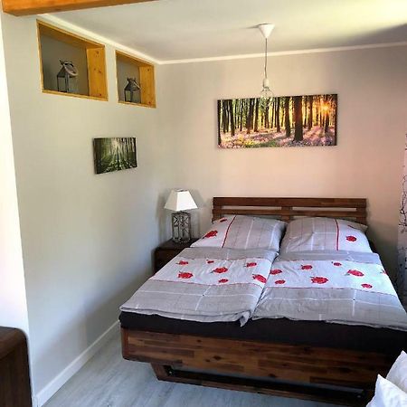 Appartement Fuchsbau à Königstein Extérieur photo