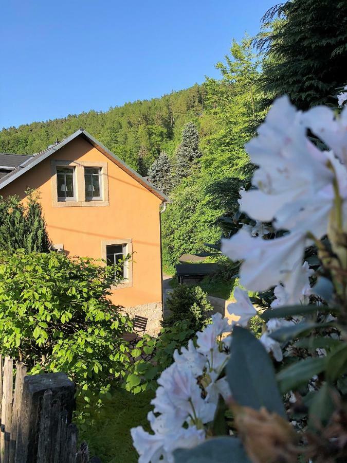 Appartement Fuchsbau à Königstein Extérieur photo